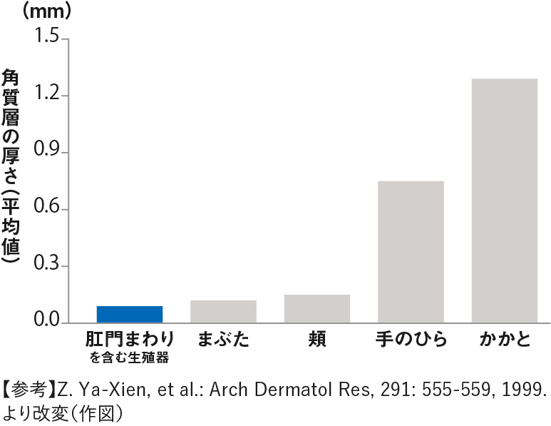 Z. Ya-Xien, et al.: Arch Dermatol Res, 291: 555-559, 1999.より改変